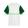 Fußballtrikots Palmeiras 2025 Kurzarm Auswärts-trikot kaufen